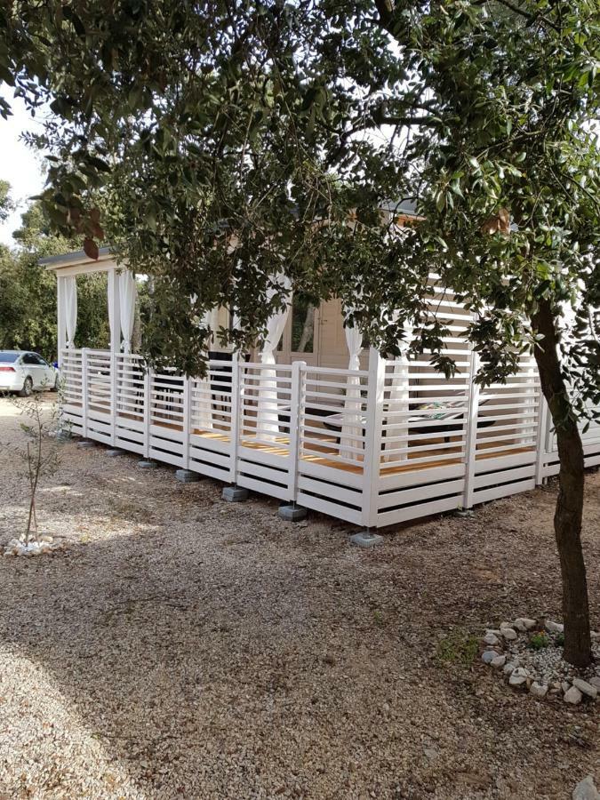 Summertime By Pearl Of The Biograd Biograd Na Moru Exteriör bild